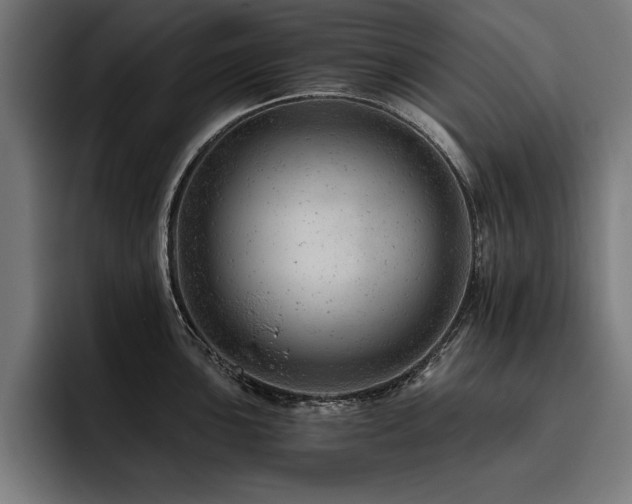 X0000093421051200710121140