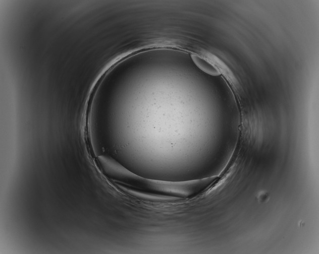 X0000093421052200710121140