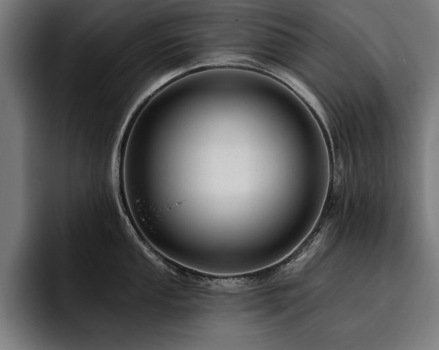 X0000093421053200710121140