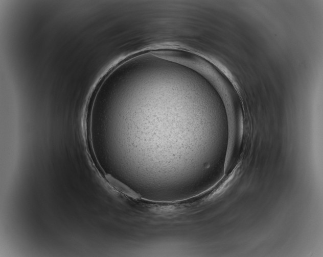 X0000093421054200710121140