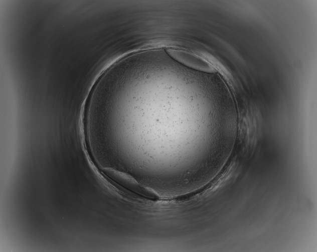 X0000093421055200710121140