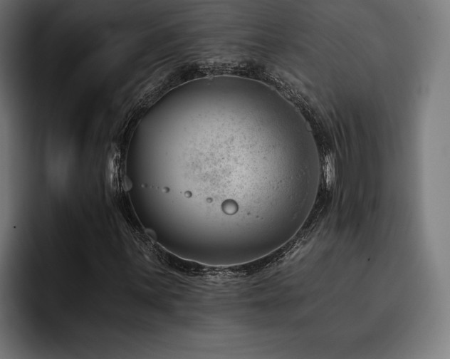 X0000093421059200710121139