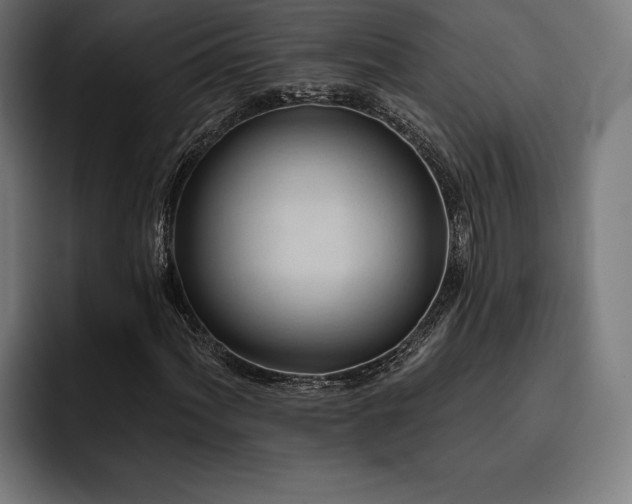 X0000093421060200710121139