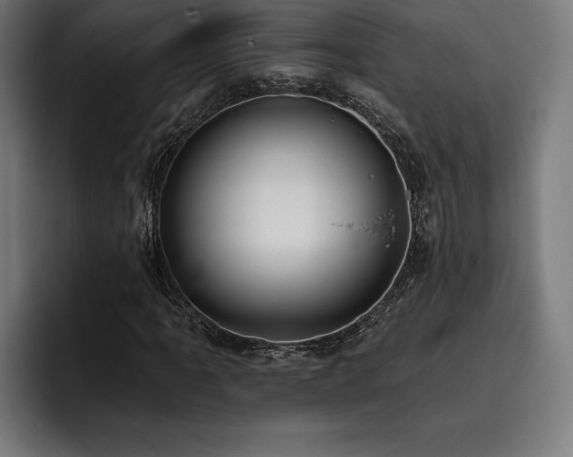 X0000093421061200710121139