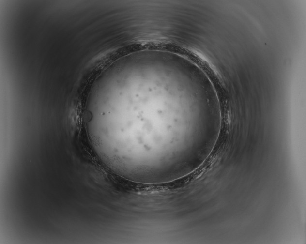 X0000093421063200710121139