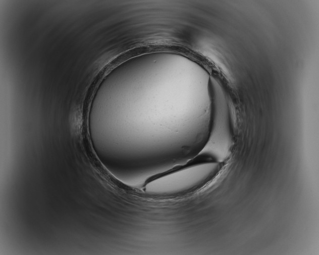X0000093421065200710121139