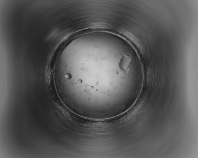 X0000093421067200710121139