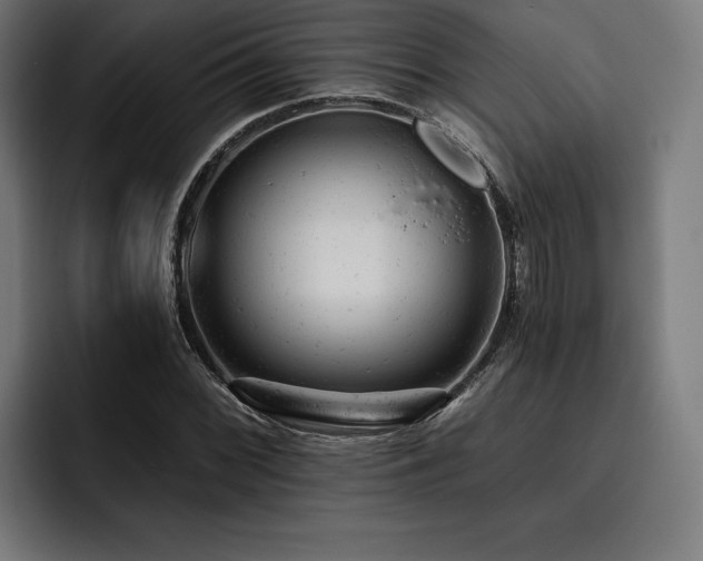 X0000093421068200710121139