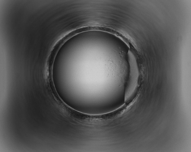 X0000093421070200710121139