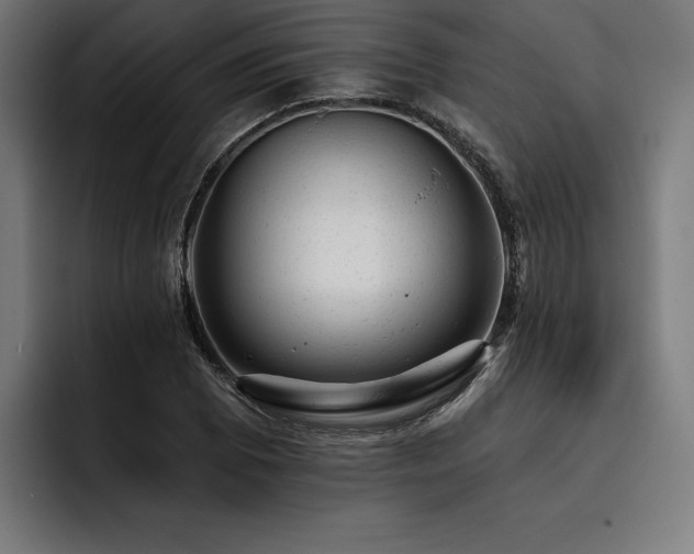 X0000093421073200710121139