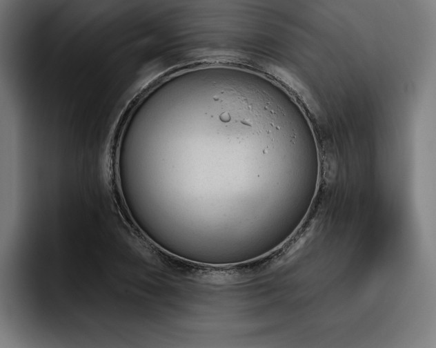 X0000093421074200710121139