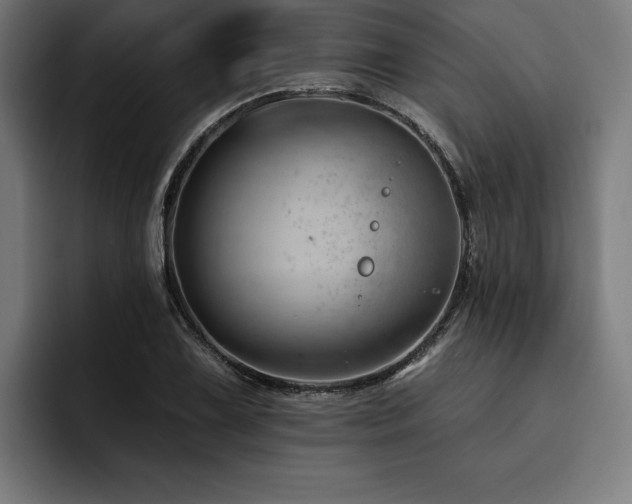 X0000093421075200710121139