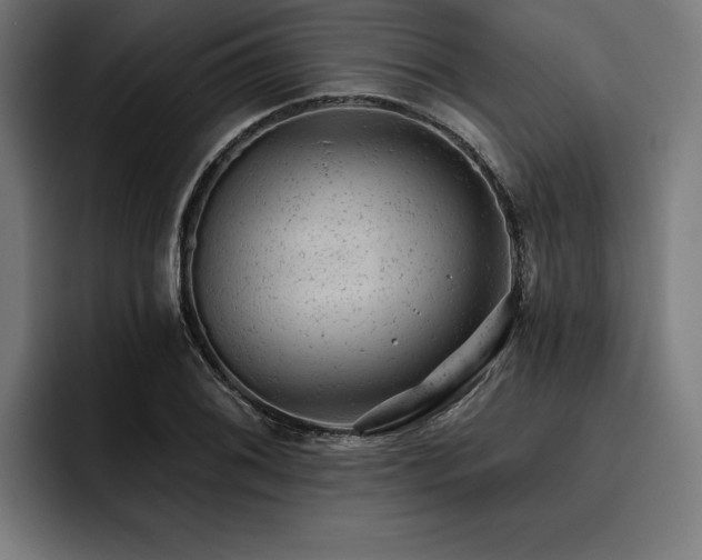 X0000093421076200710121139