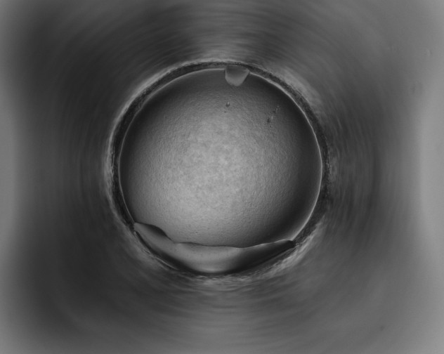 X0000093421077200710121139