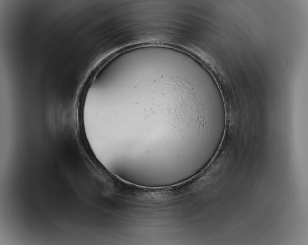 X0000093421078200710121139