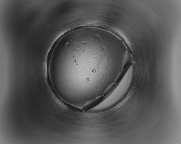X0000093421079200710121139