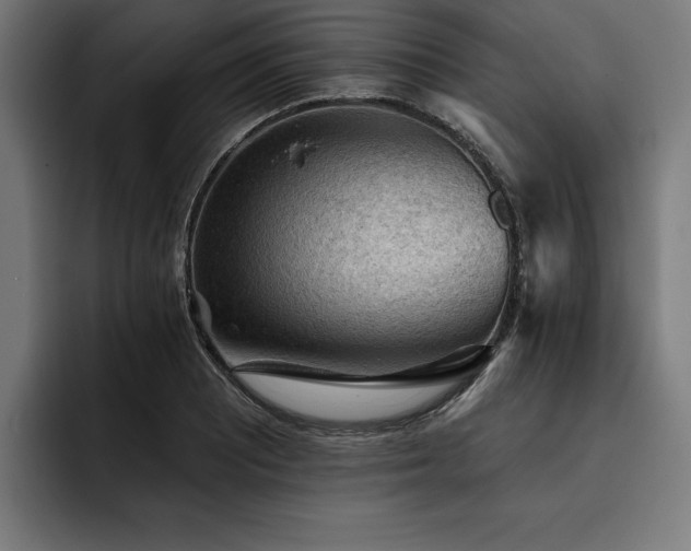 X0000093421081200710121139