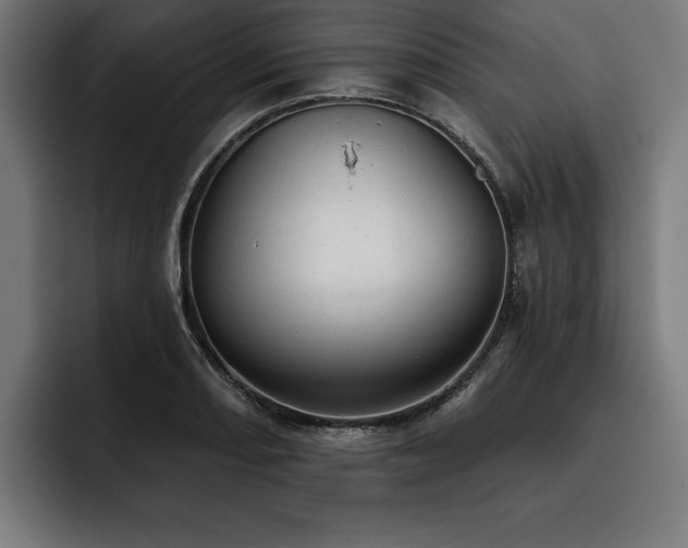 X0000093421082200710121139