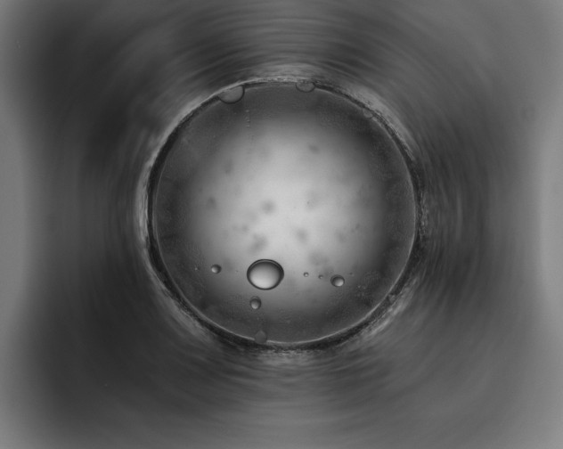 X0000093421083200710121139