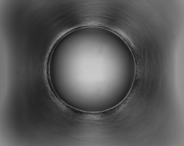 X0000093421086200710121139