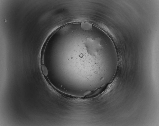 X0000093421087200710121139