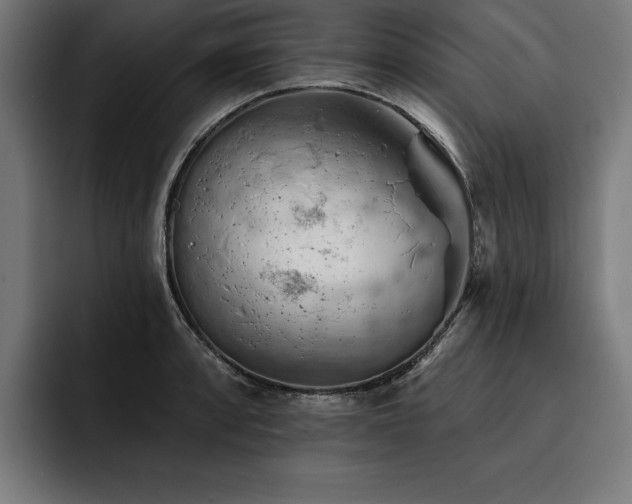 X0000093421088200710121139