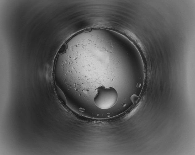 X0000093421089200710121139