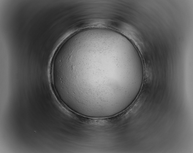 X0000093421090200710121139