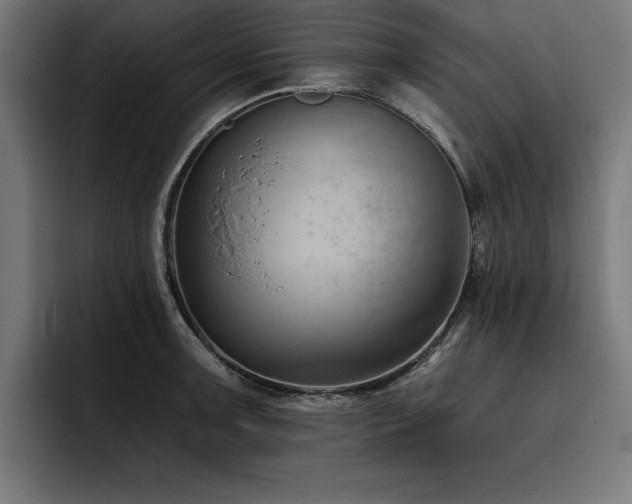 X0000093421091200710121139