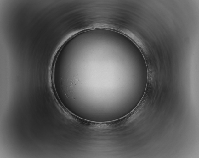 X0000093421094200710121139