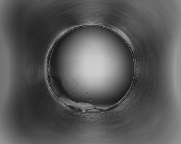 X0000093421096200710121139