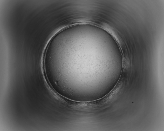 X0000093421098200710121139