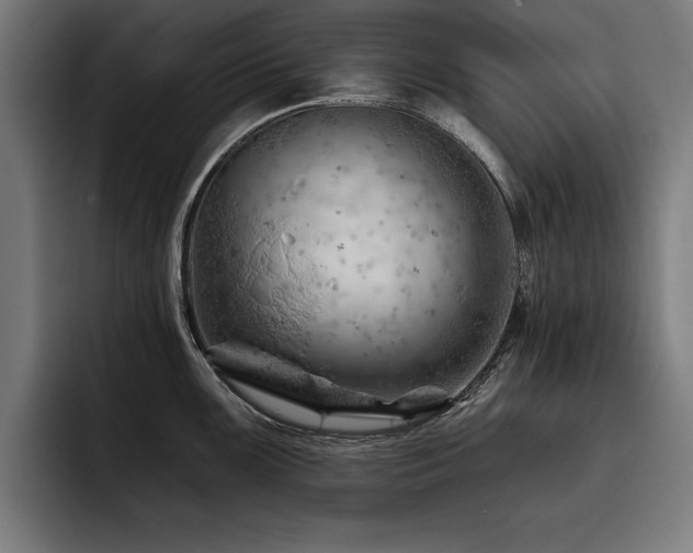 X0000093421099200710121139
