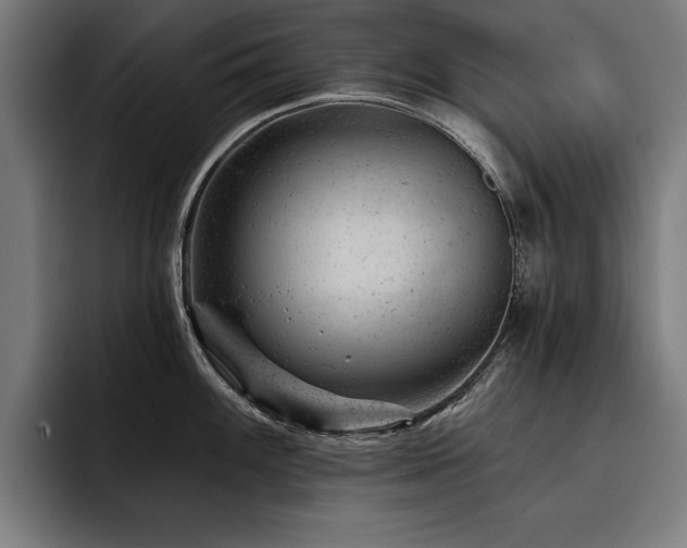 X0000093421100200710121139