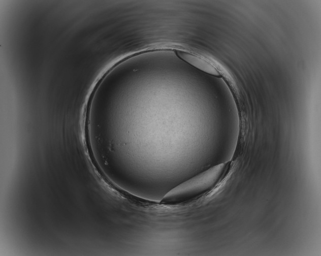 X0000093421102200710121139