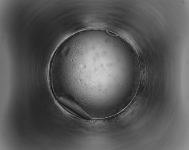 X0000093421103200710121139