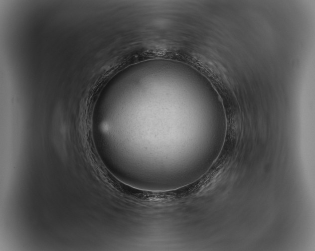 X0000093421105200710121138