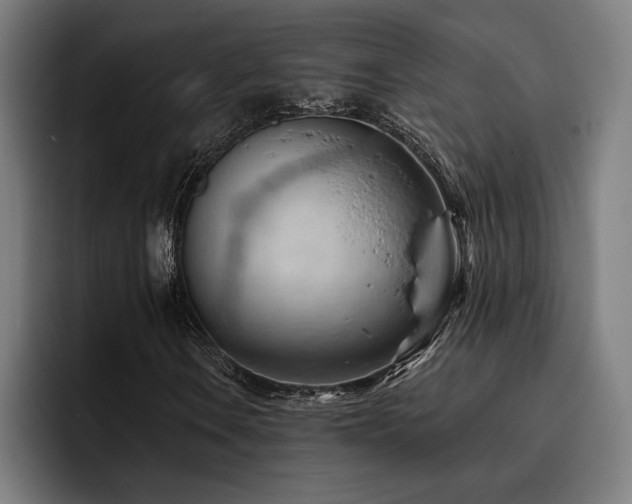 X0000093421106200710121138