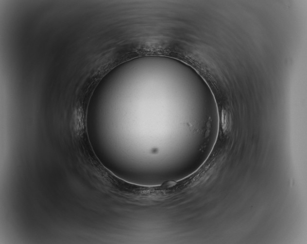 X0000093421107200710121138