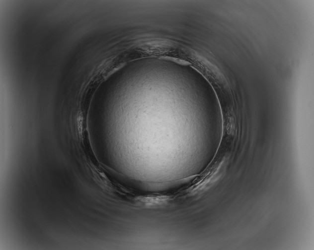 X0000093421108200710121138