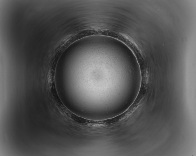 X0000093421110200710121138