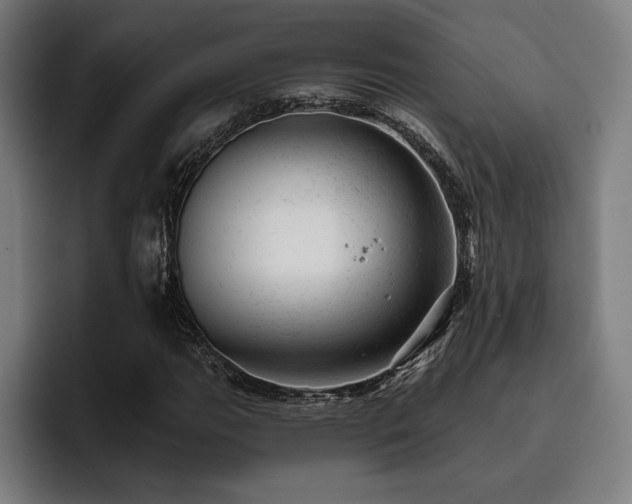 X0000093421111200710121138
