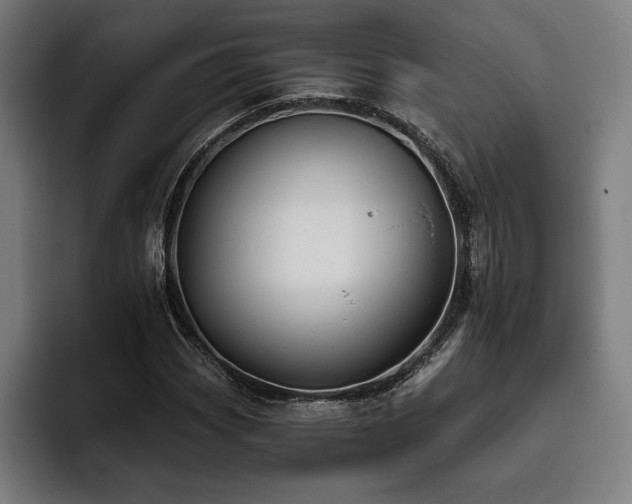 X0000093421113200710121138