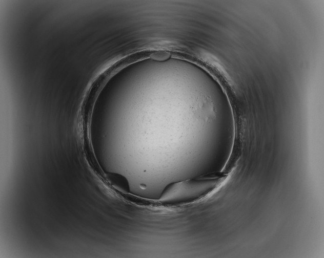 X0000093421114200710121138