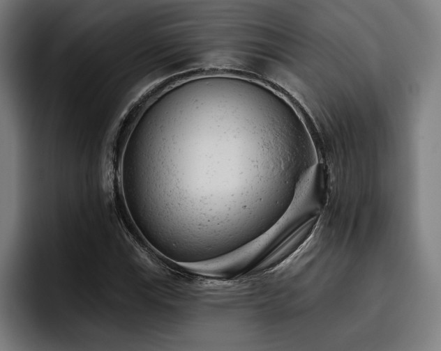 X0000093421115200710121138
