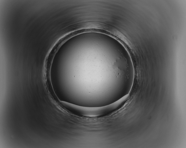 X0000093421116200710121138