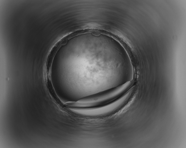 X0000093421117200710121138