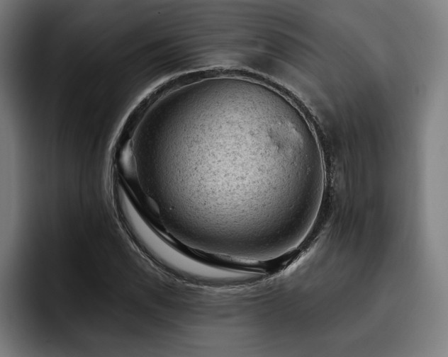 X0000093421118200710121138