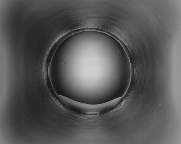X0000093421119200710121138