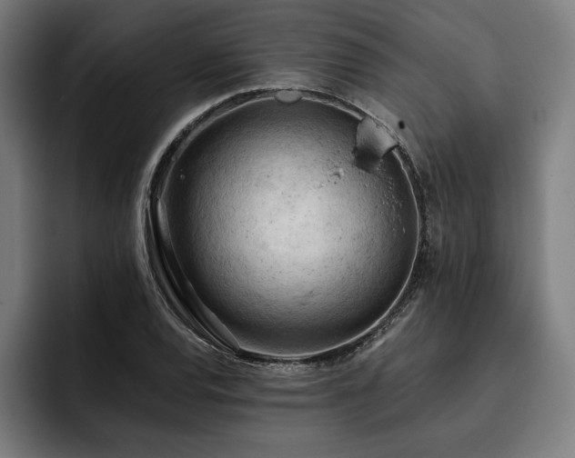 X0000093421120200710121138